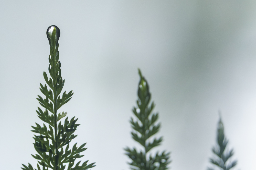 a secret place that everyone can see