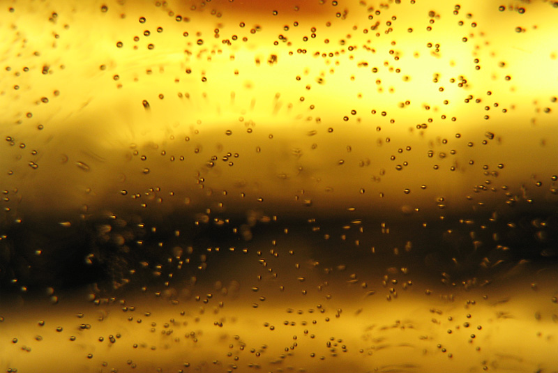 beer bubbles