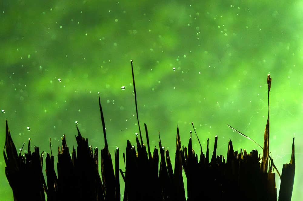 fissures in the floor