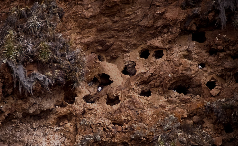 the skulls and the mountainside