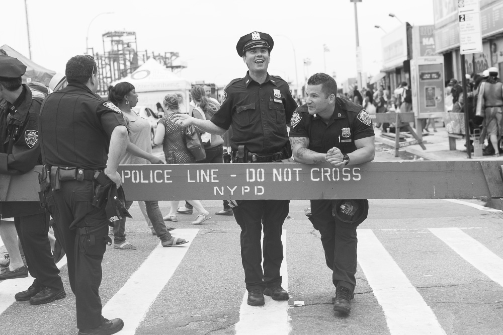 they ain't too smart