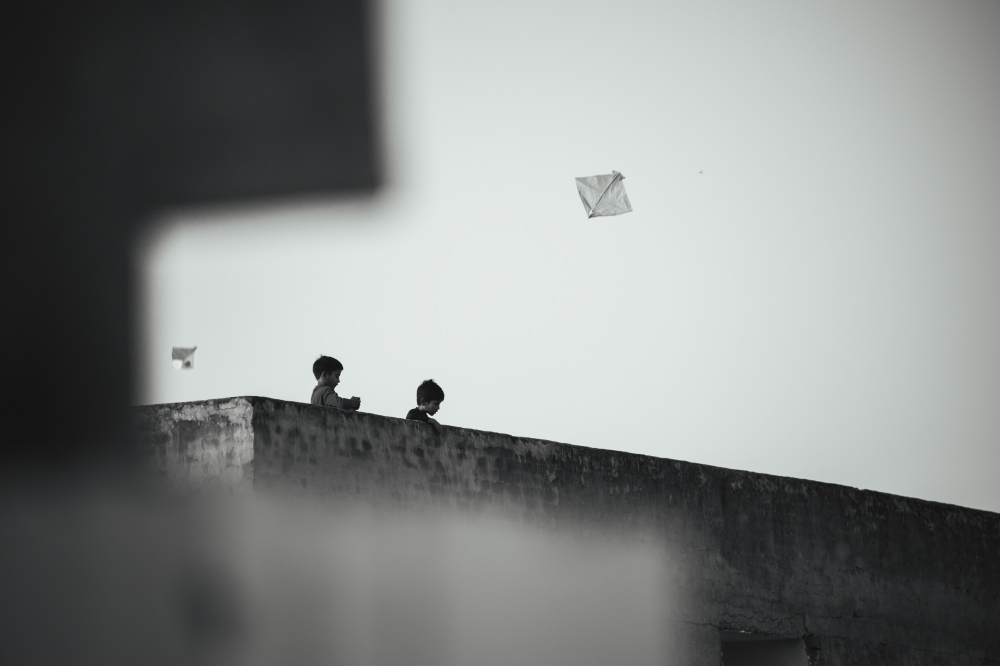 all the kites