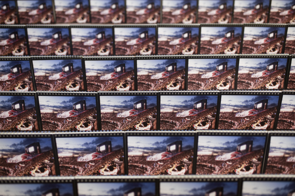 and the crowd goes wild