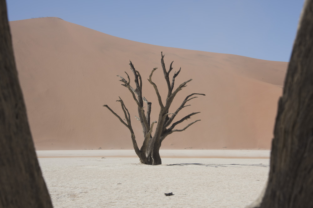 a piece of the puzzle