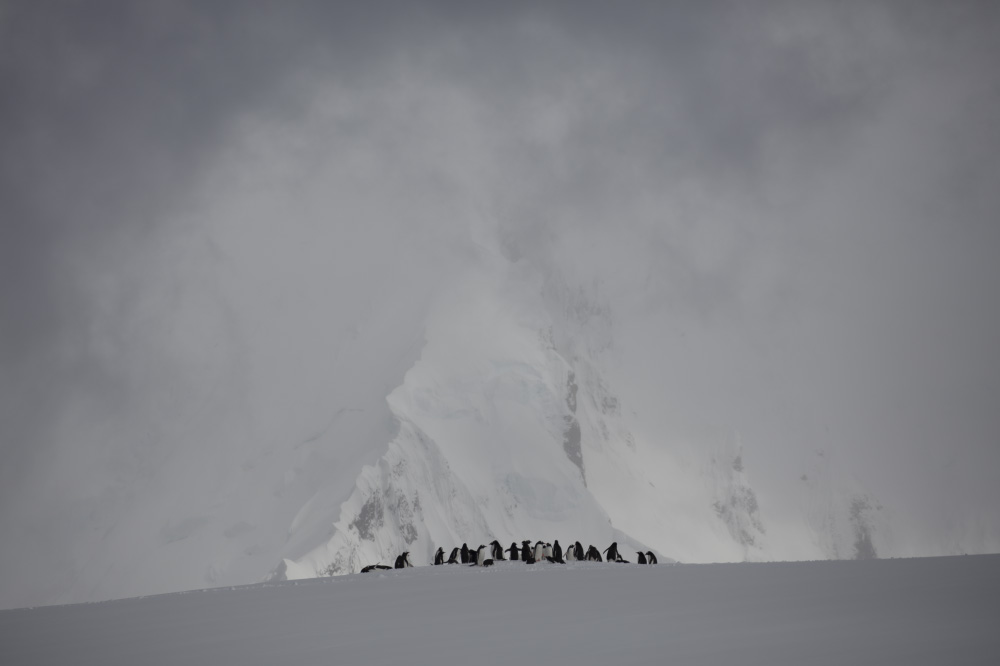 at the bottom of the world