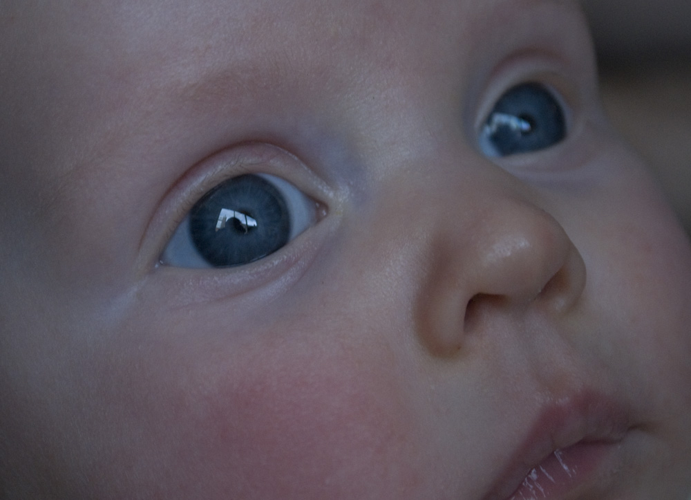 baby blue eyes