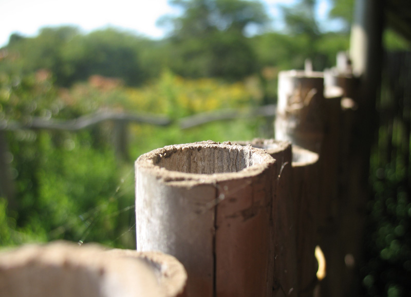 bamboo holes