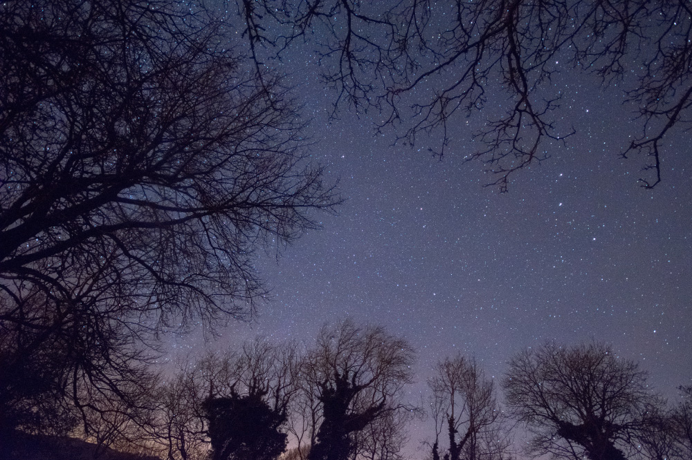 collecting silver coil