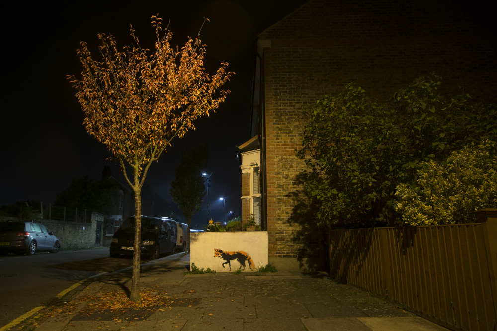 creeping through the neighbourhood