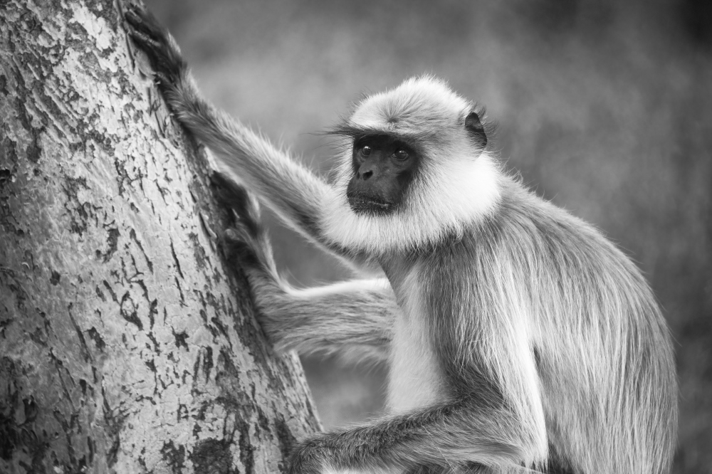 does it trouble your mind?