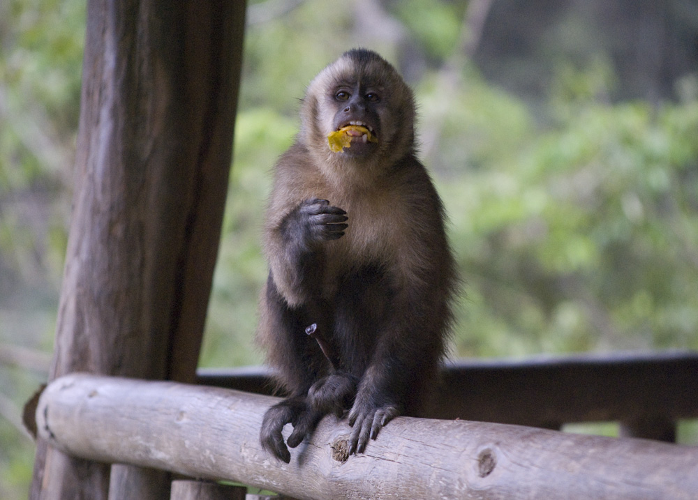 don't talk with your mouth full