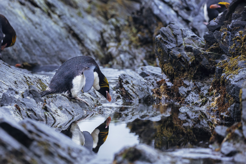 do you think that someone paints your mirror?