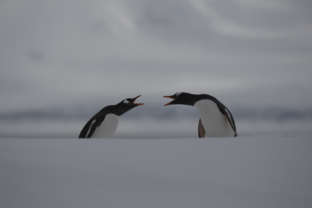 every time you think you're talking, you're just moving your mouth