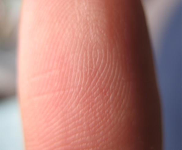 fingerprint