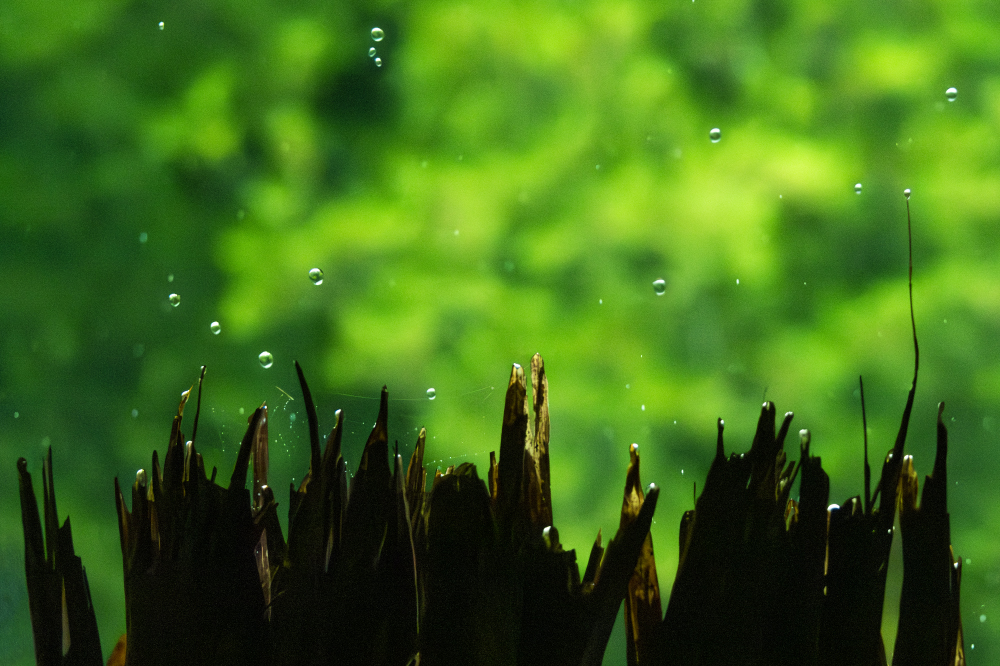 fissures in the floor