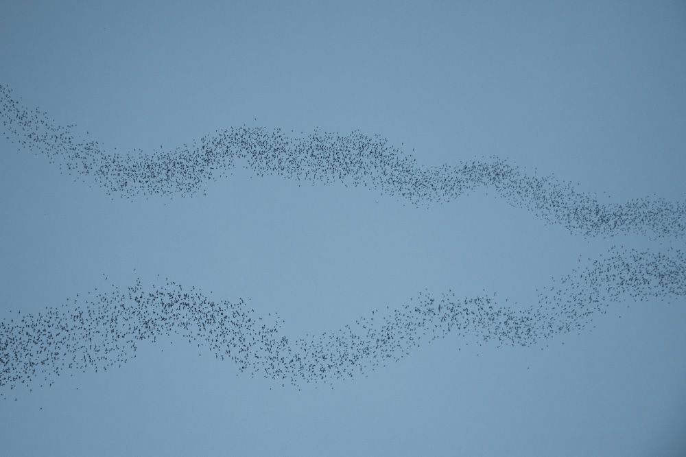 form some kind of code