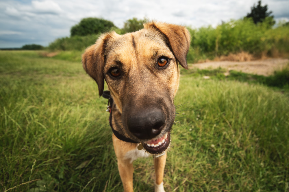 go farther in lightness