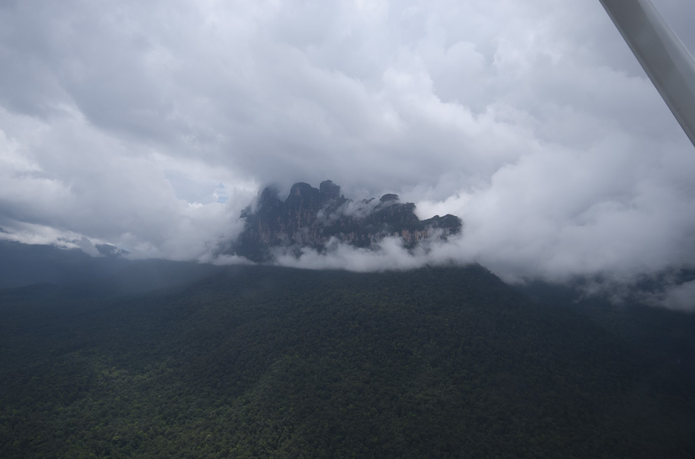 head in the clouds