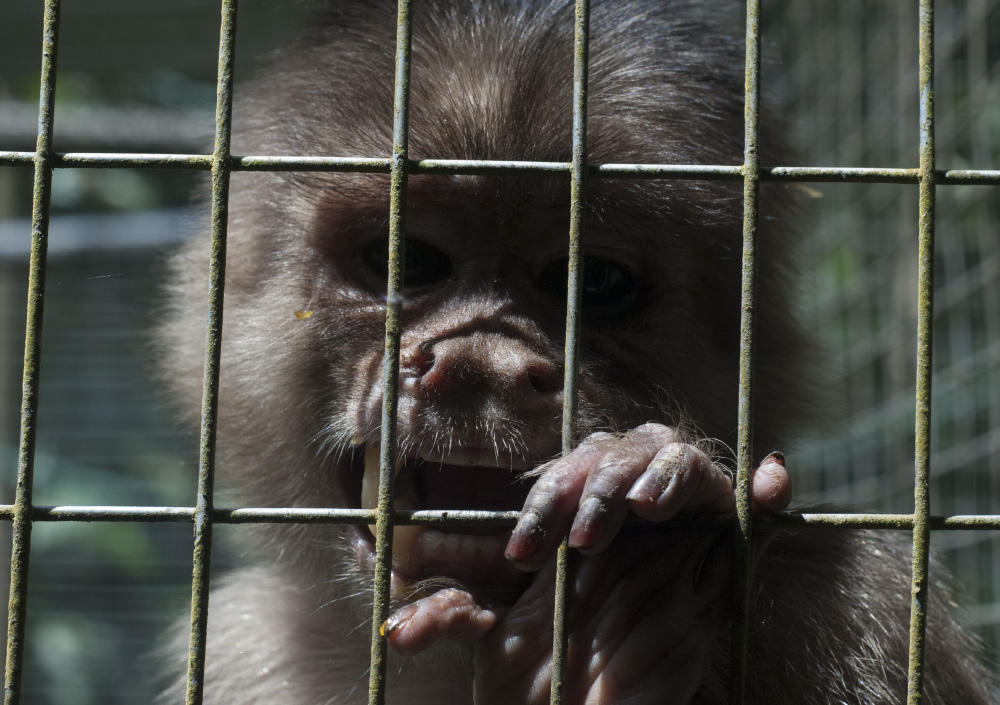 i could kill you with my bare hands if i was free