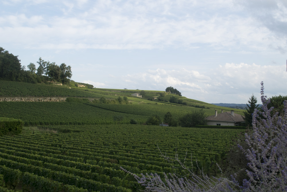 i could live to any age