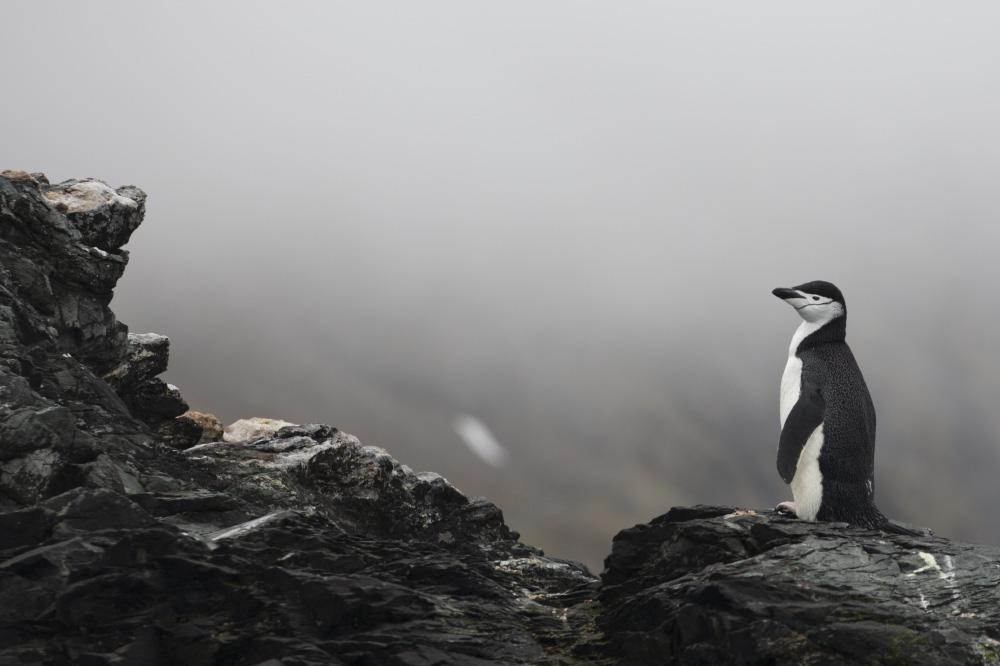 if i'm stuck out here alone