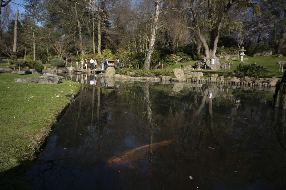 in a veil of great disguises