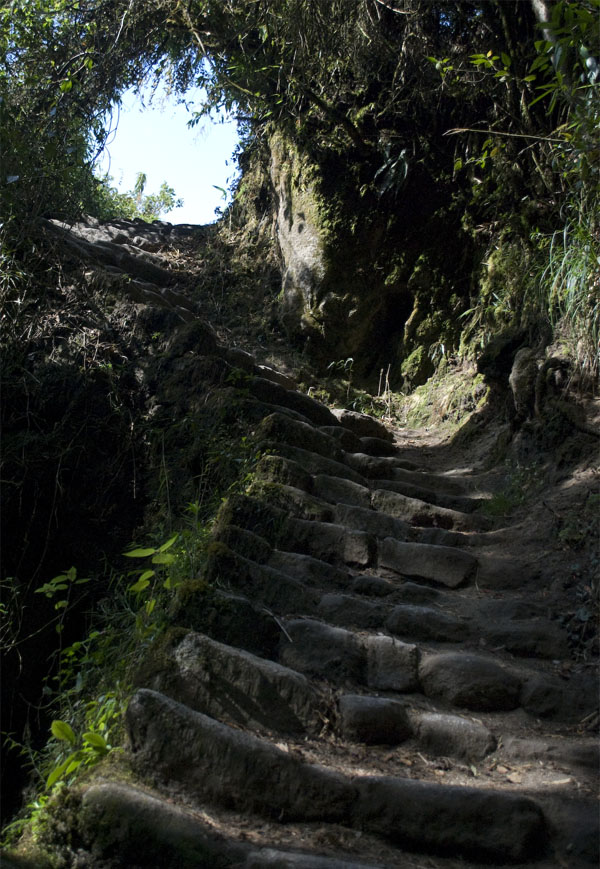 inca steps