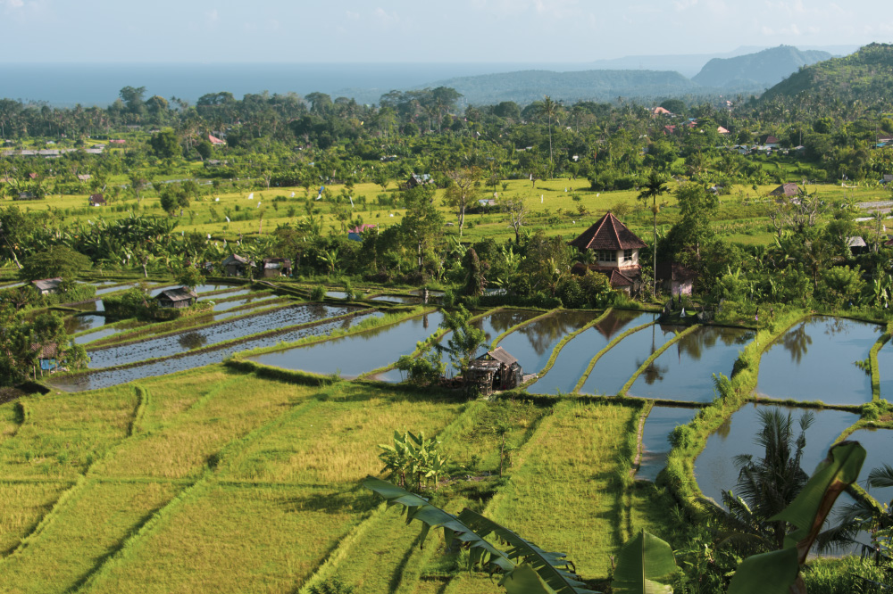 in the lost and found