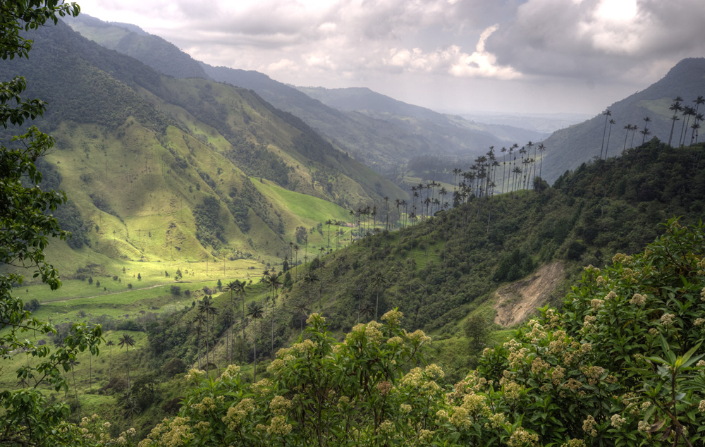 in the silver morning hollow