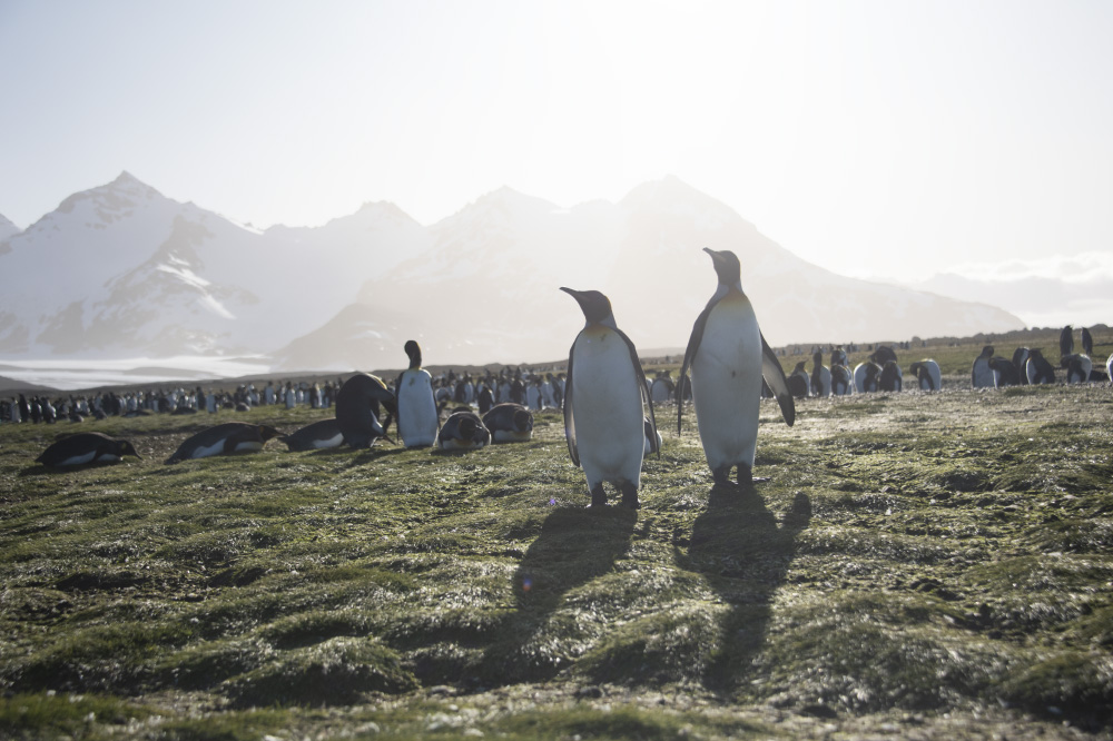 it's coming straight back for us