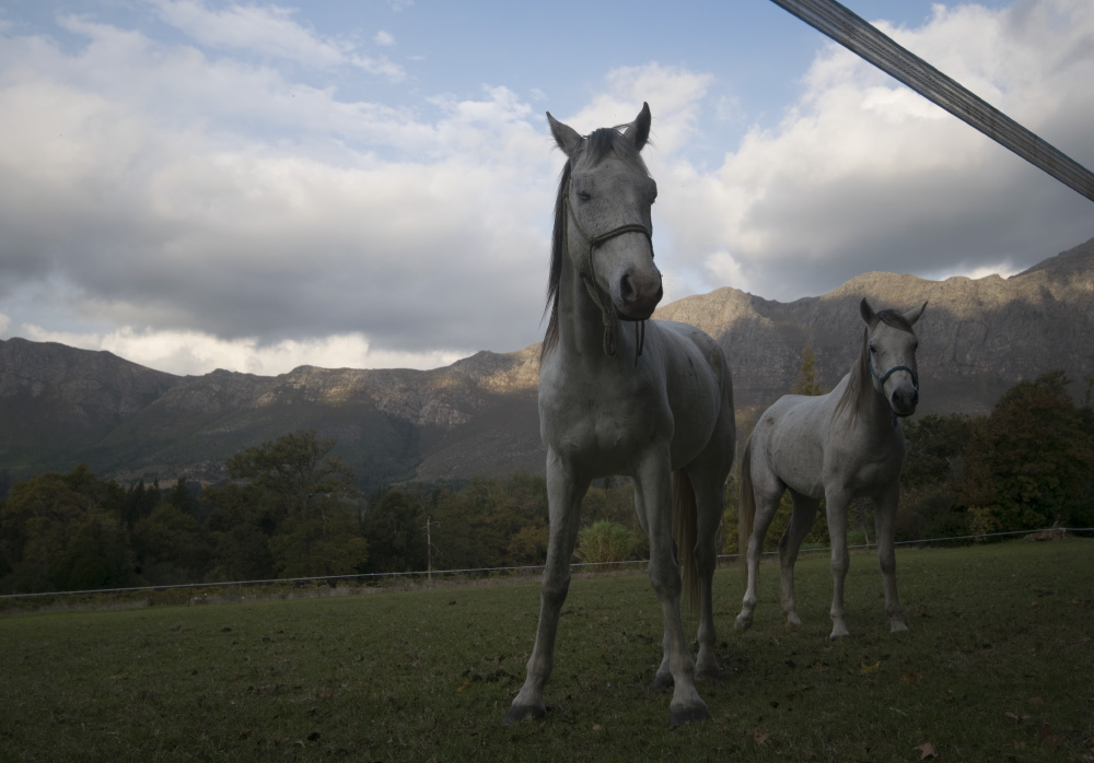 leave us and forgive us