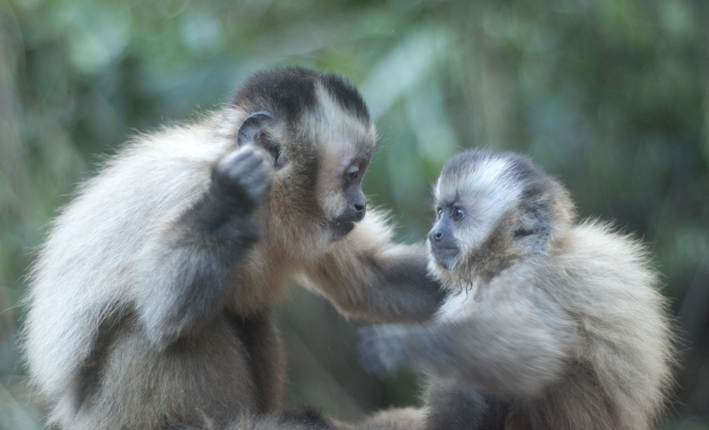 pow! right in the kisser!