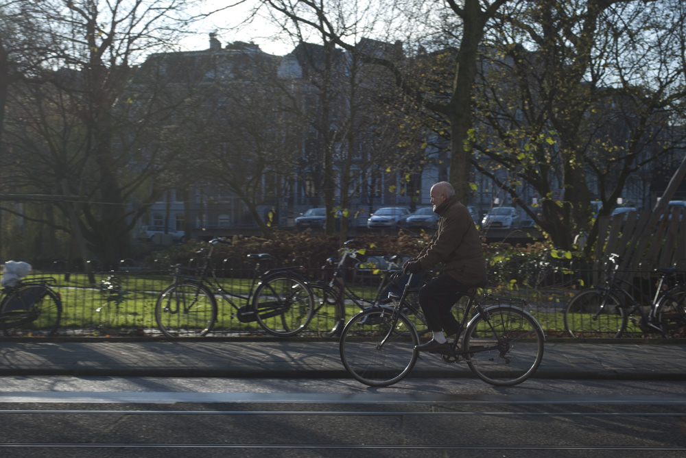 separated from the rest