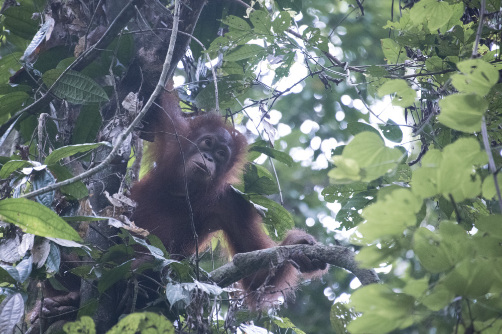 set my mind to wander