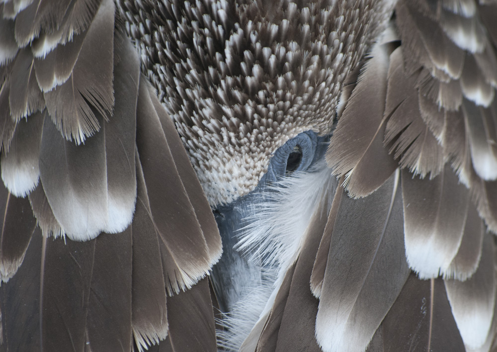 sleep with one eye open