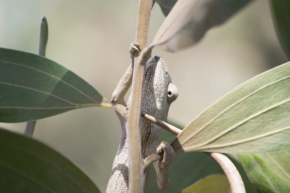 so i can climb right back