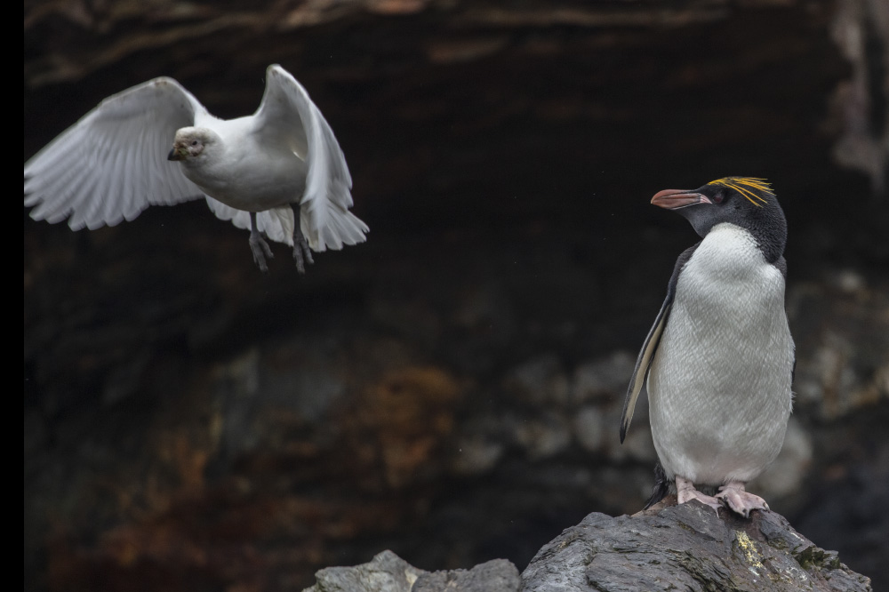 some long forgotten chord