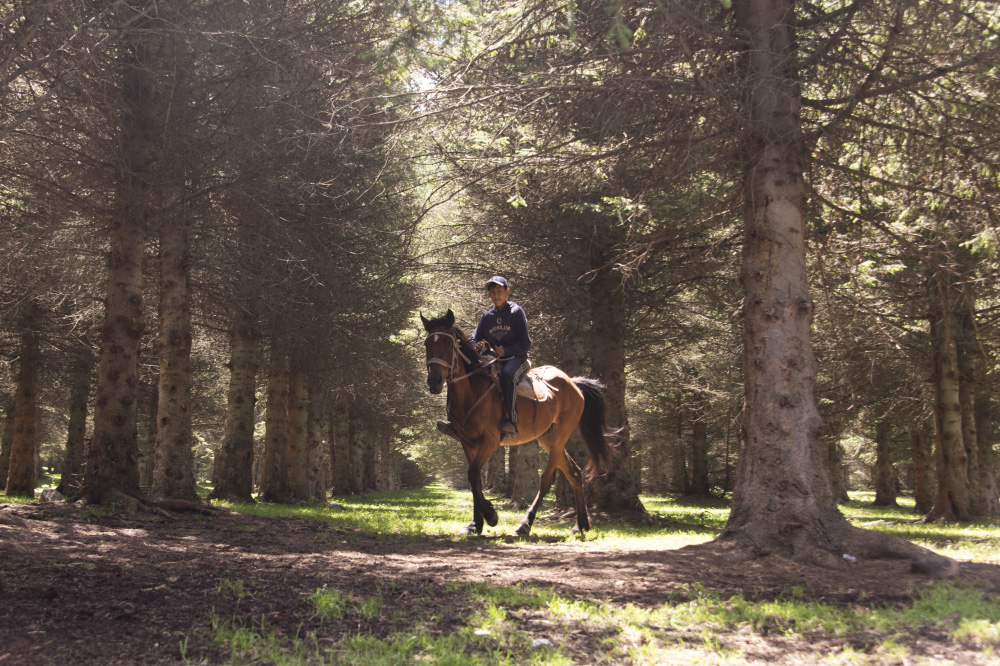 step out into the light