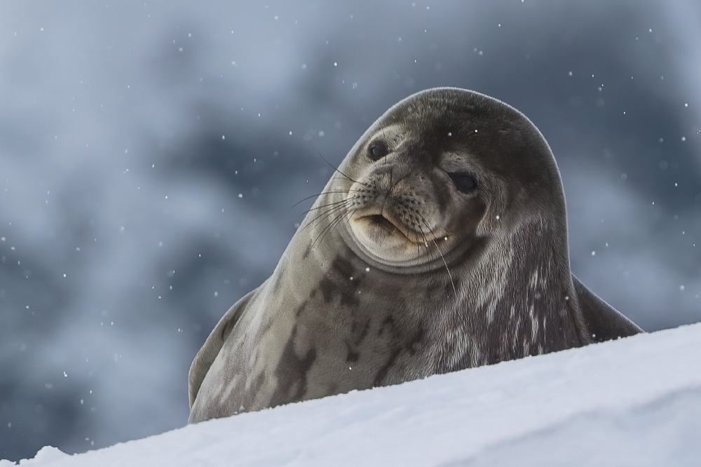 suspended in this bliss