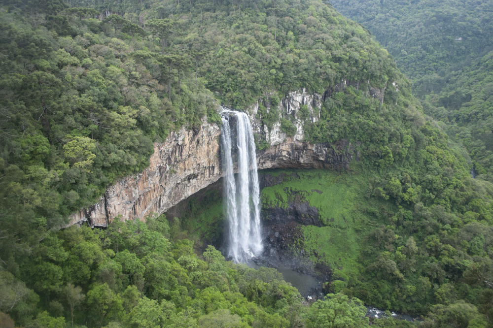 that's compelling you on