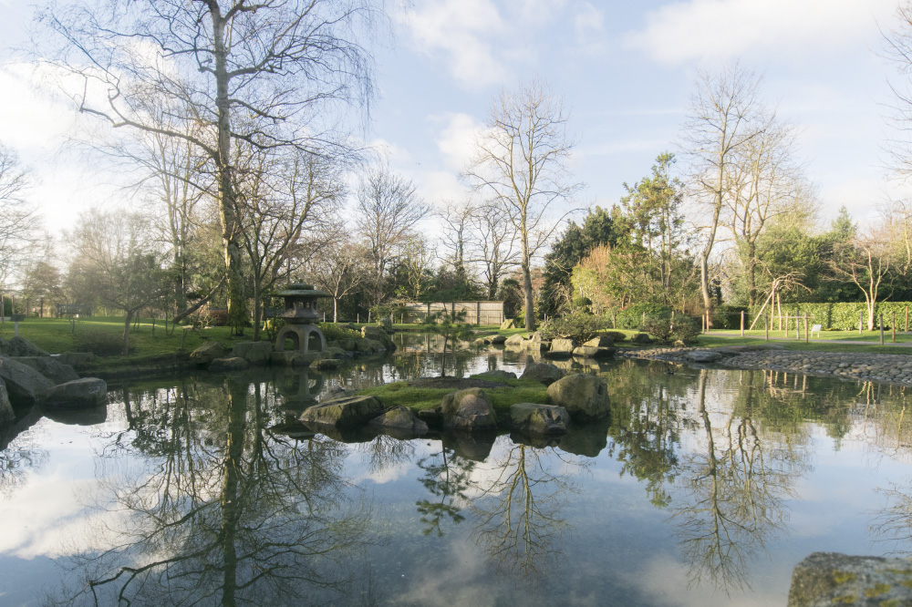 the cold comfort of the in-between