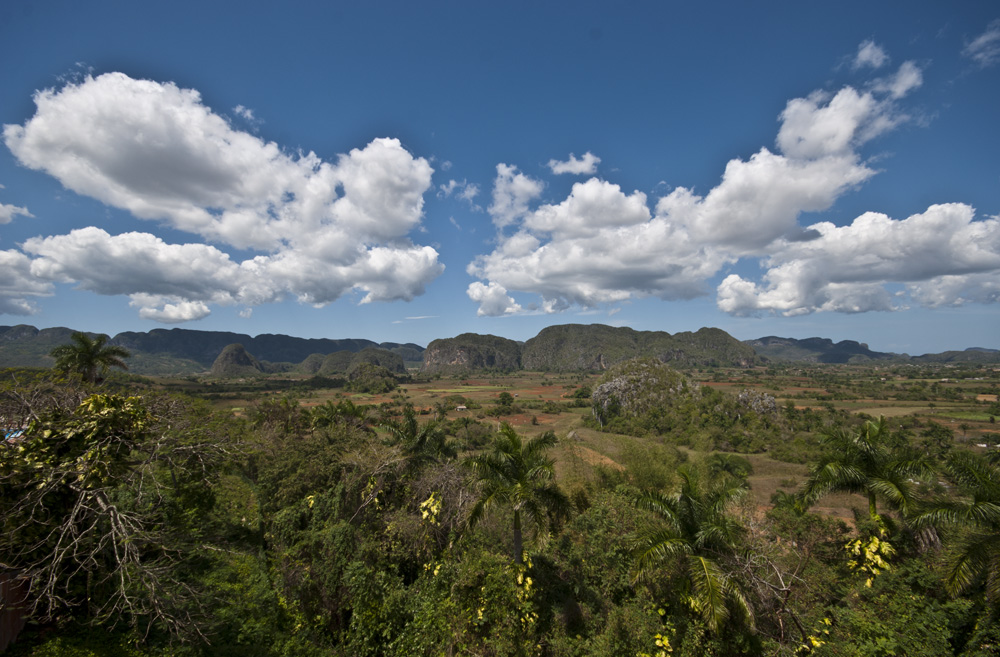 they can't buy the sunshine