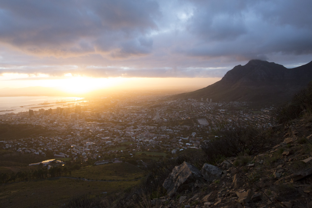 those persuasive rays