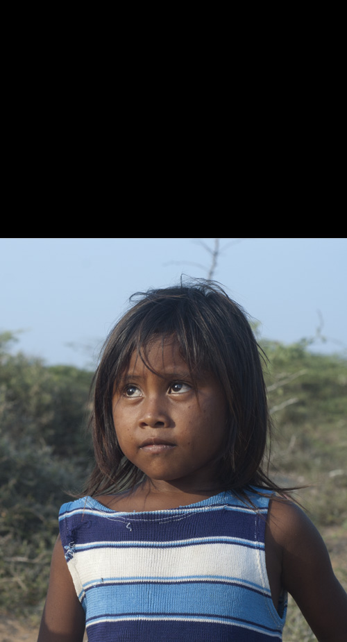 to know what makes you tick