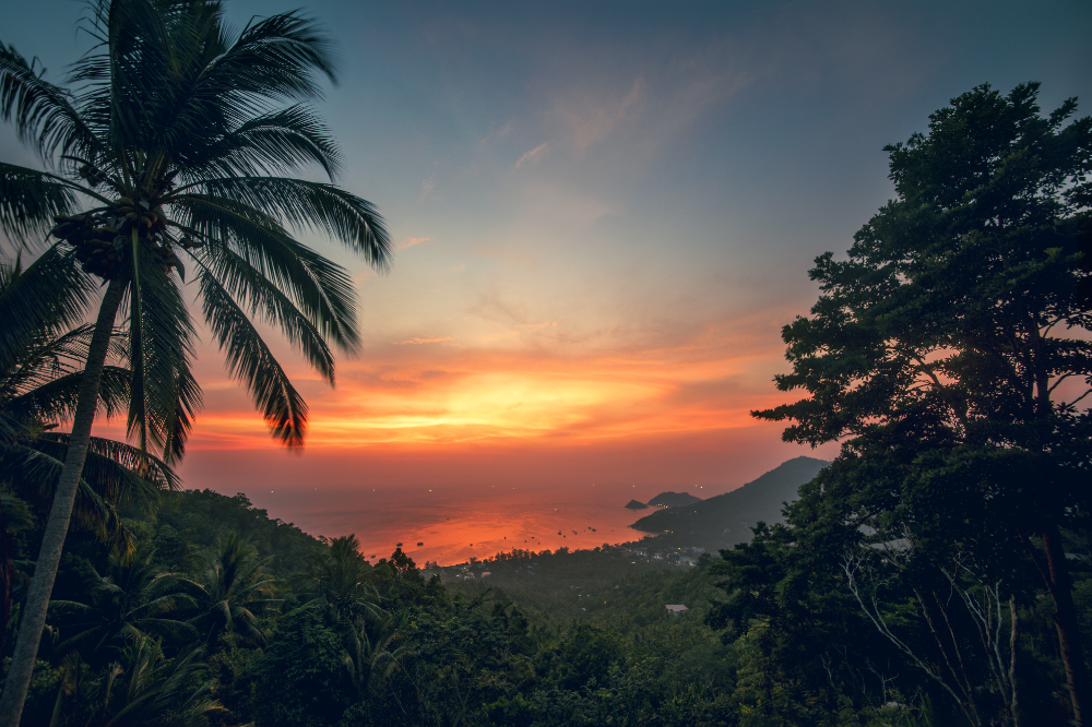 turn on the bright lights