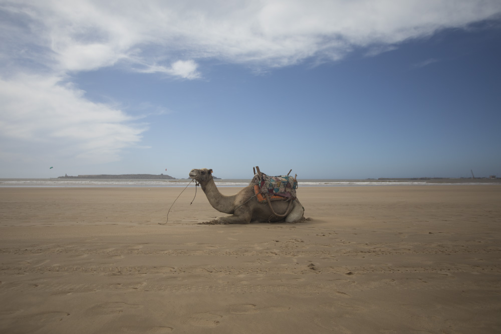 waiting for the world to come along