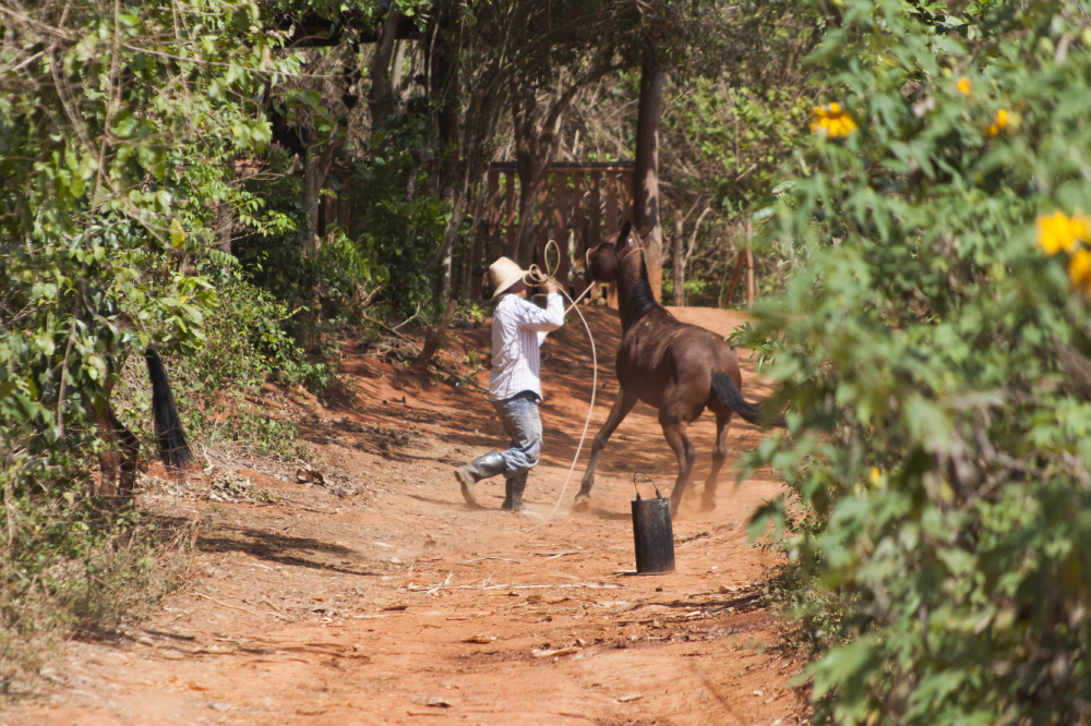 what you break is what you get