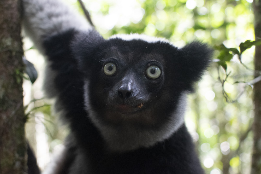 wide eyed and hopeful