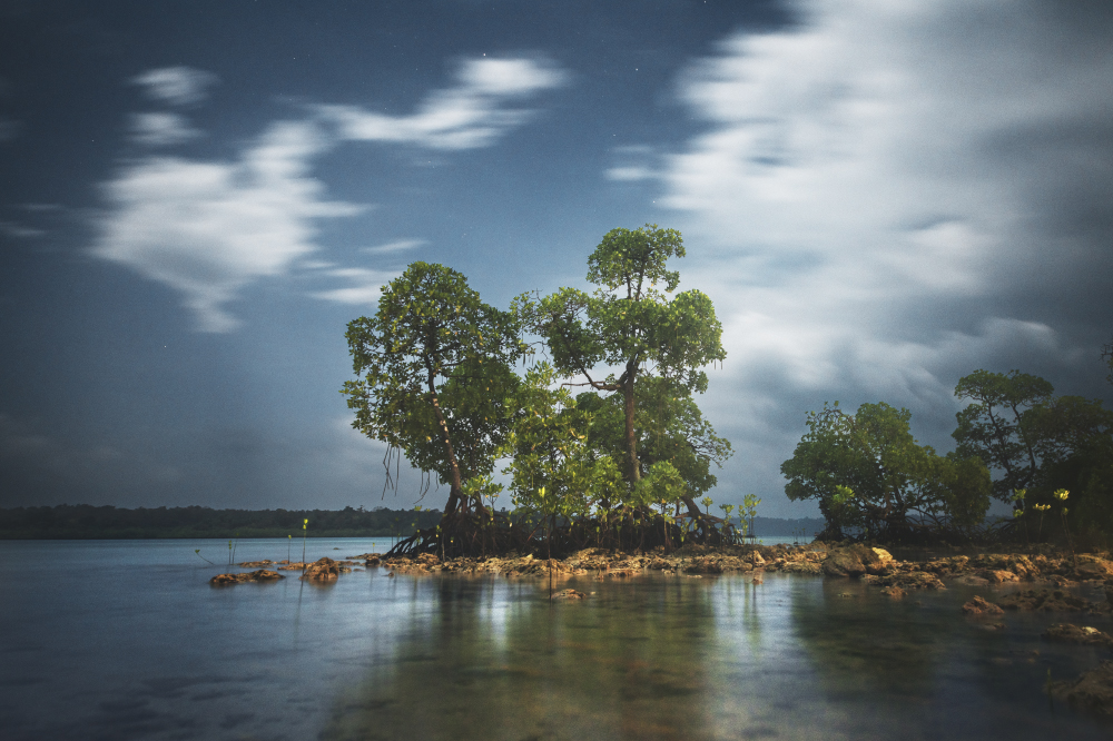 you can go anywhere you please